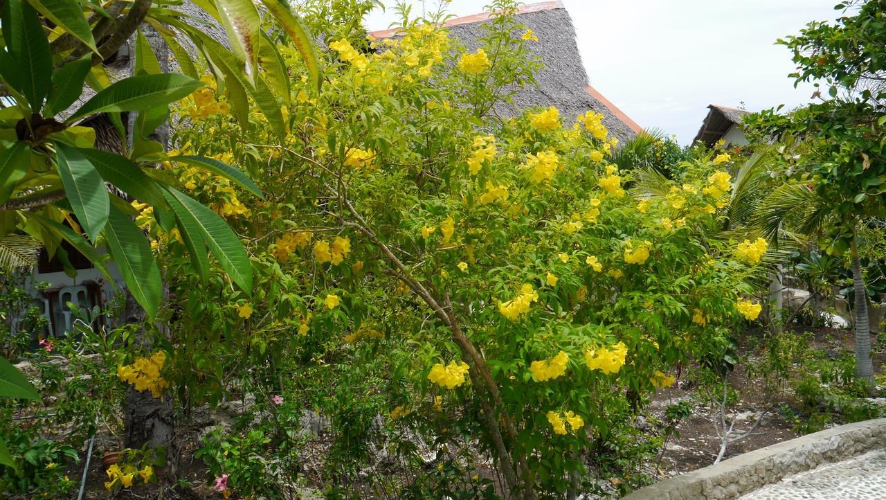 Moalboal T Breeze Coastal Resort Esterno foto